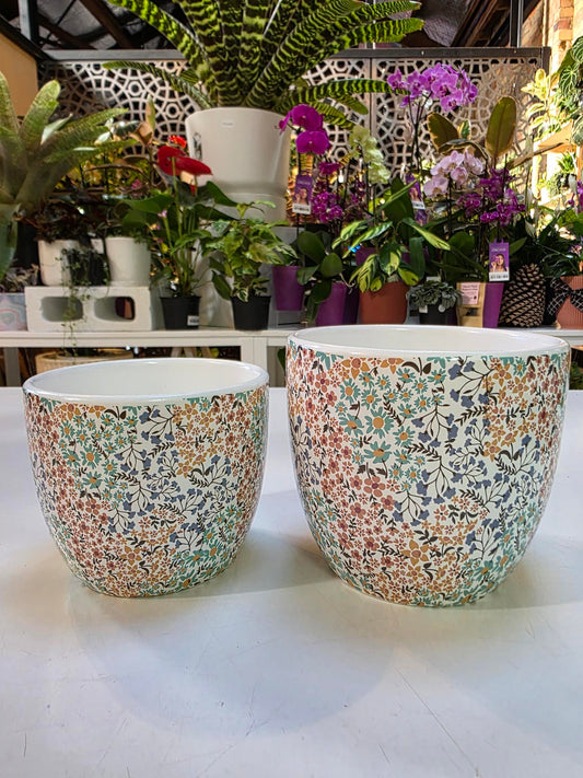 Wildflower Set of 2 Planter Pots