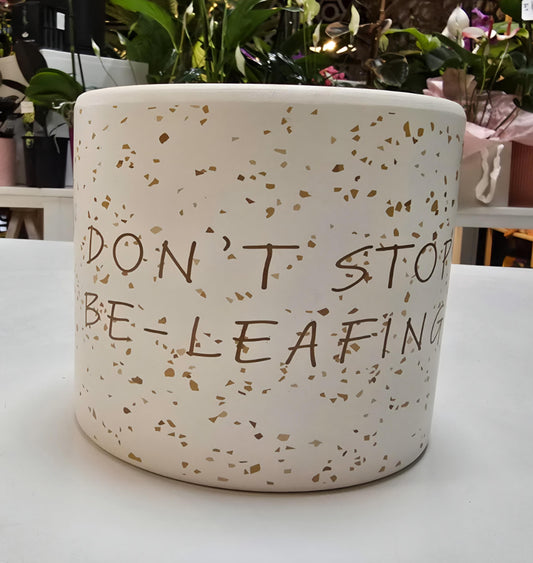 Quirky Quotes Planter Pots