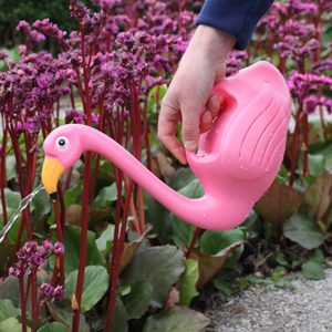 Watering Can - Pink Flamingo