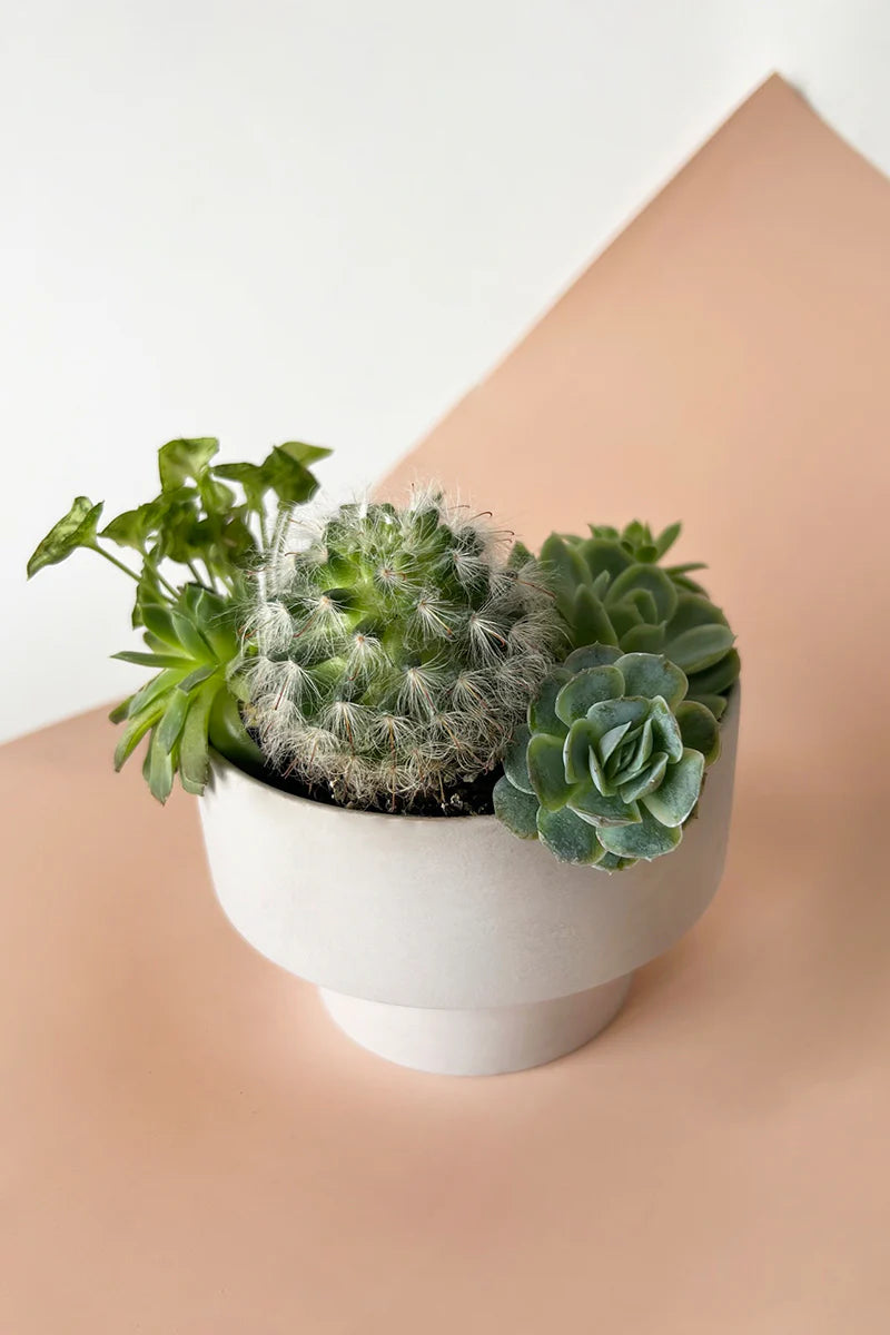 Parlour Porcelain Planter