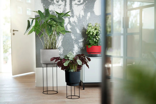Elho - Studio Cover Pot & Stand - Black